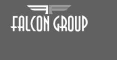 Проект Falcon Group